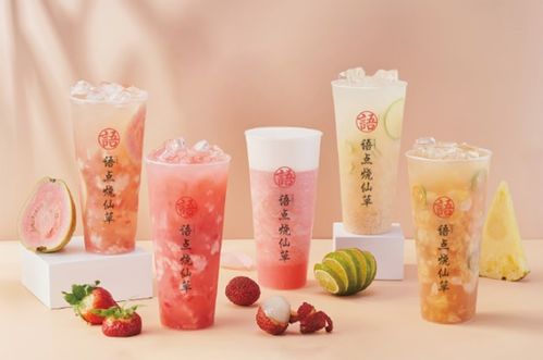 與語點(diǎn)相遇,來一場(chǎng)燒仙草的碰撞機(jī)遇吧