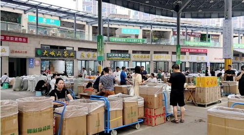 世界茶都 干茶交易迎來(lái)入秋后高峰