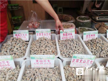 批發(fā)價(jià)探底 昆明三七零售價(jià)低至每千克150元