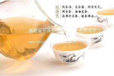 安溪生態(tài)鐵觀音 8年珍藏陳年老茶 綠色鐵觀音批發(fā)兼零售