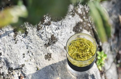 昆明茶葉公司工商注冊(cè)的經(jīng)營(yíng)范圍