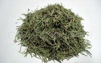 迷迭香【國產(chǎn)】、花草茶花果茶、花草茶批發(fā)加工[供應(yīng)]_茶葉_世界工廠網(wǎng)中國產(chǎn)品信息庫