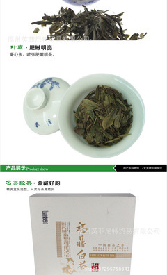 【福鼎白茶白牡丹陳年野生茶葉茶葉廠家批發(fā)零售貨源穩(wěn)定一件代發(fā)】價格,廠家,圖片,白茶,福州英菲尼特貿(mào)易-