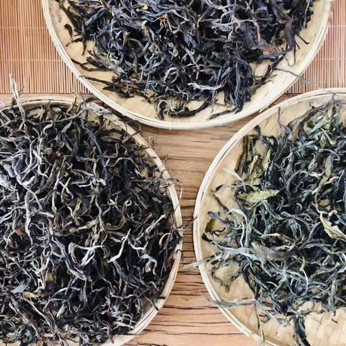 2019年精選古樹普洱茶磚,薄荷塘茶葉批發(fā)與零售價(jià)比較