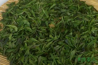 女兒茶屬于什么茶,是綠茶嗎(屬于普洱綠茶)