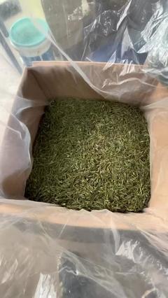 廬山云霧高山茶葉批發(fā)零售