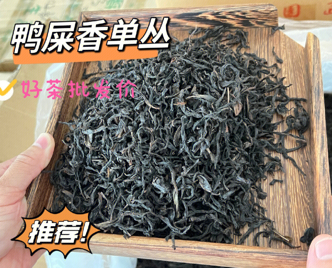 茶葉批發(fā)零售鳳凰山自家茶園單樅鴨屎香
