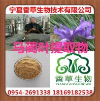 馬蓮 馬蓮價格 報價 馬蓮品牌廠家