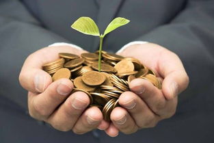 茶公司注冊(cè)經(jīng)營(yíng)范圍