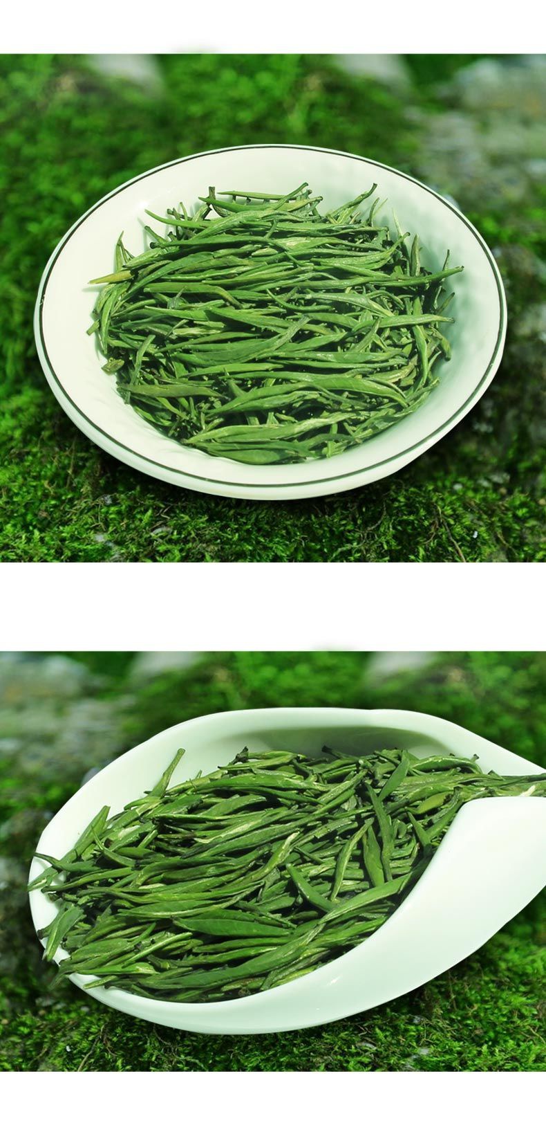 【圖】天然茶葉批發(fā)兼零售 高山一級湄潭翠芽 貴州產地高端.