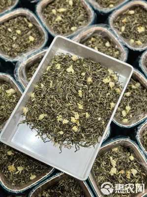 茉莉銀針 茉莉花茶 廣西橫縣茉莉茶 花茶 罐裝濃香批發(fā)價綠茶