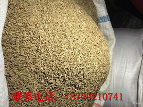 湖北 調(diào)味料 調(diào)味料價格 報價 調(diào)味料品牌廠家