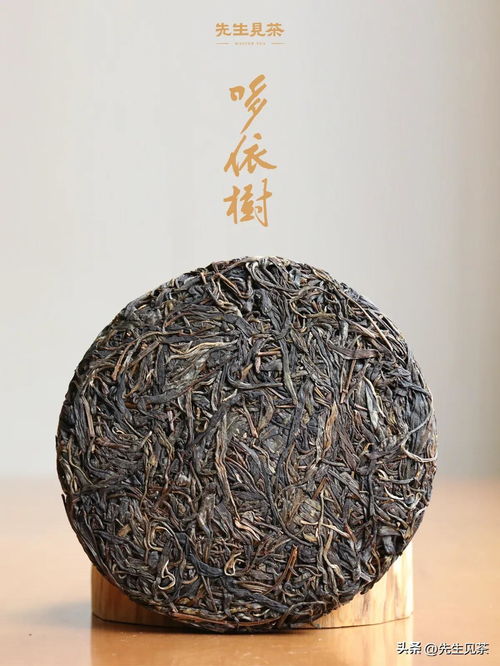 2019年精選古樹普洱茶磚,薄荷塘茶葉批發(fā)與零售價比較